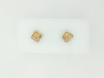Precious Metal (No Stones) Earring