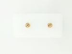 Precious Metal (No Stones) Earring
